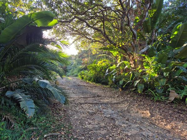 1 203 m² Land