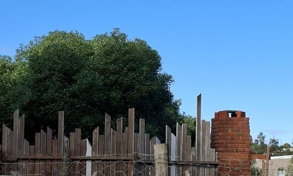 1 982 m² Land