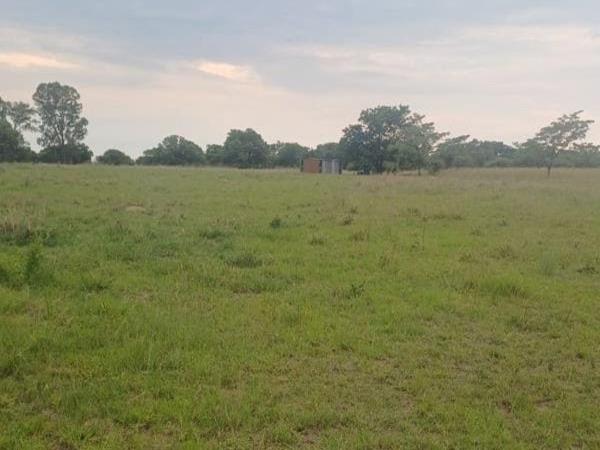 99 418 ha Farm with House
