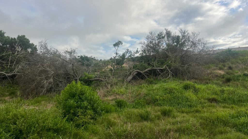 800 m² Land