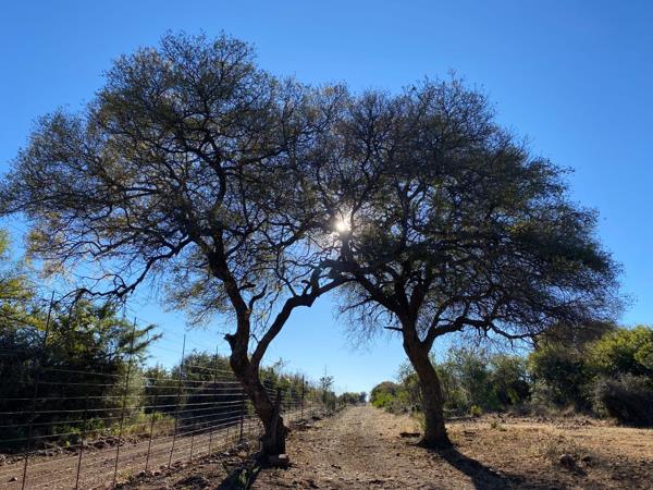 60 ha Farm