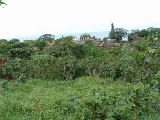 5 391 m² Land