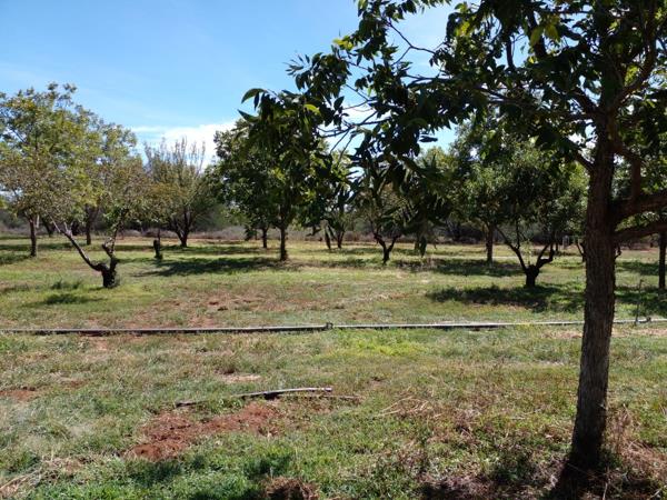 692 m² Land