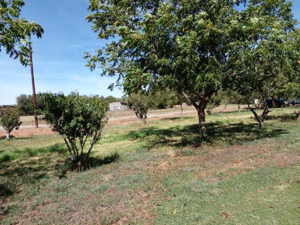 961 m² Land