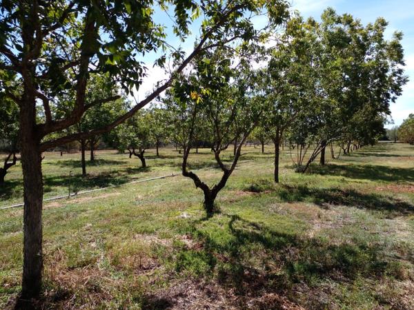 961 m² Land