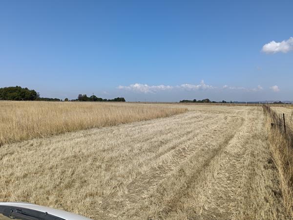 21.4 ha Agricultural Holding