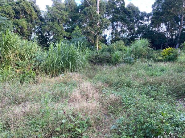 1 128 m² Land