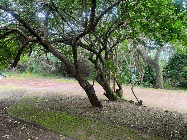 1 653 m² Land