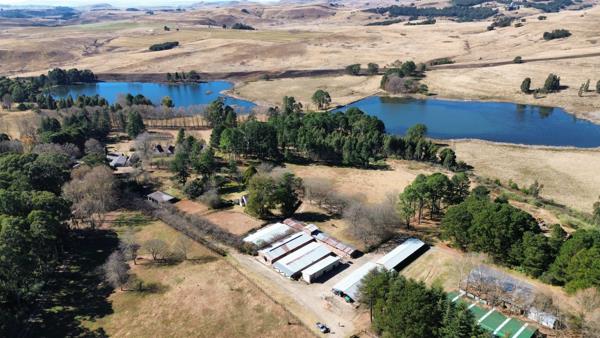 902 ha Farm