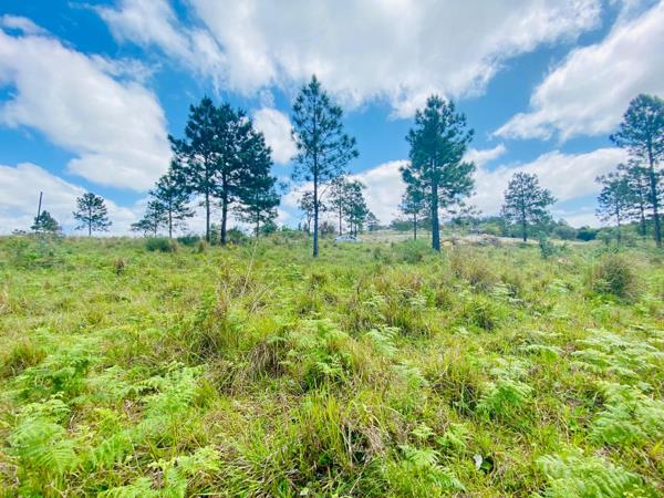 1 253 m² Land