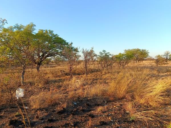 228 m² Land