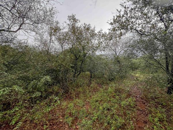 1 500 m² Land