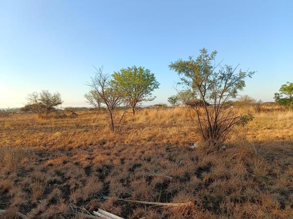 231 m² Land