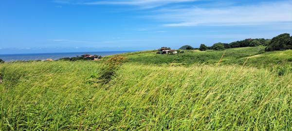 1 238 m² Land