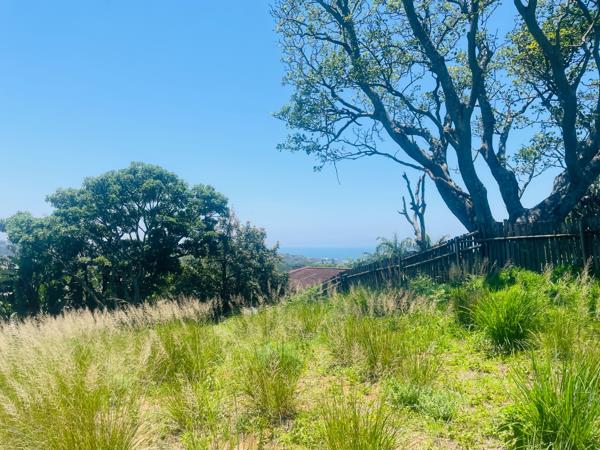1 784 m² Land