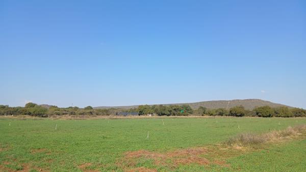 139.6 ha Farm