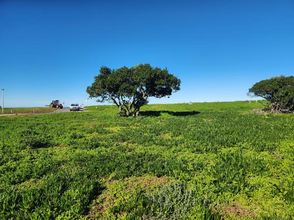 577 m² Land