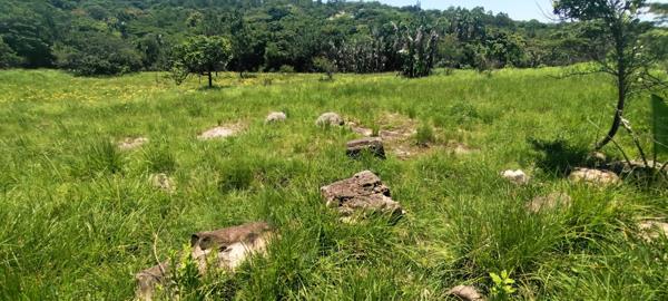 1 096 m² Land