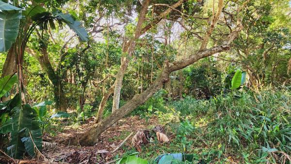 1 595 m² Land