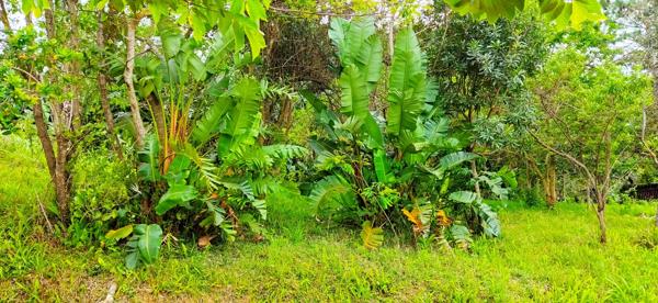 1 505 m² Land
