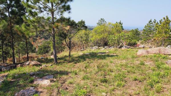 1 781 m² Land