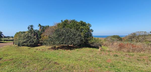 1 895 m² Land