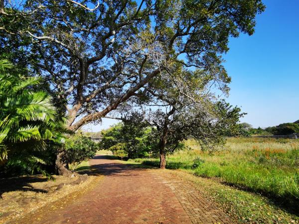 2 138 m² Land