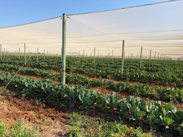 60.9 ha Farm