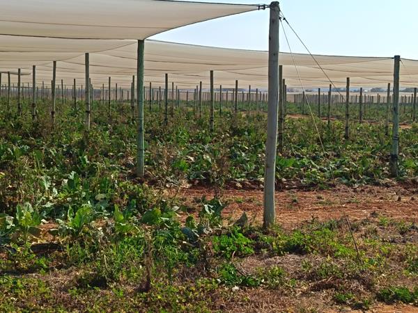 60.9 ha Farm