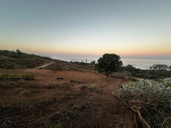 1 059 m² Land