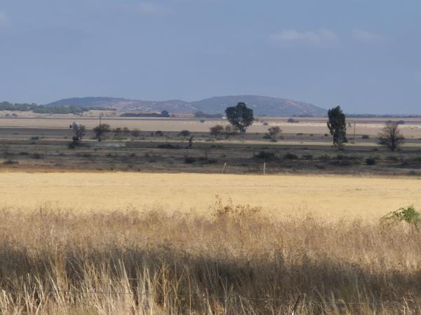 135 ha Farm