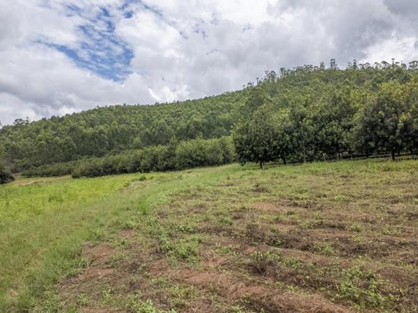 14.6 ha Farm