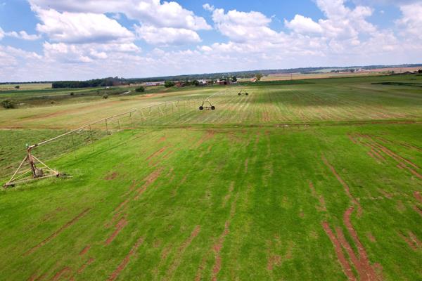 65 ha Farm