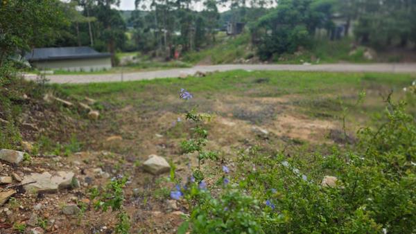 486 m² Land