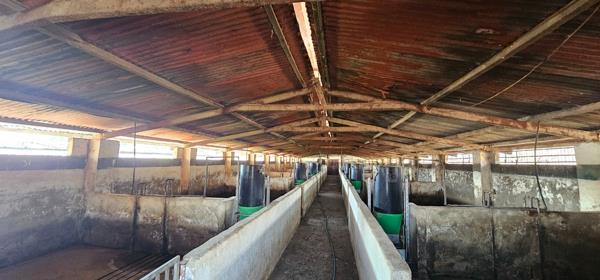 21 ha Farm
