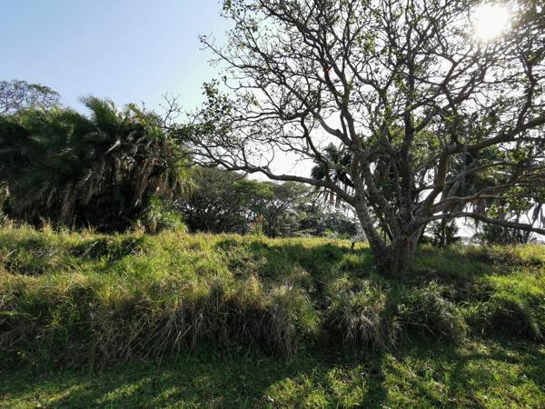 1 894 m² Land