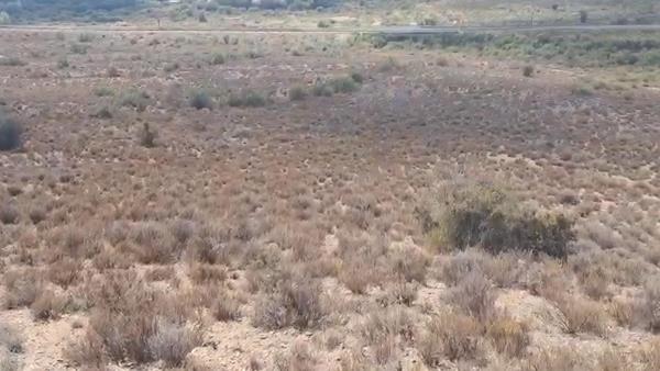 25 ha Land