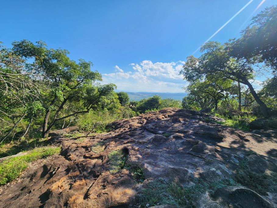 1.5 ha Land