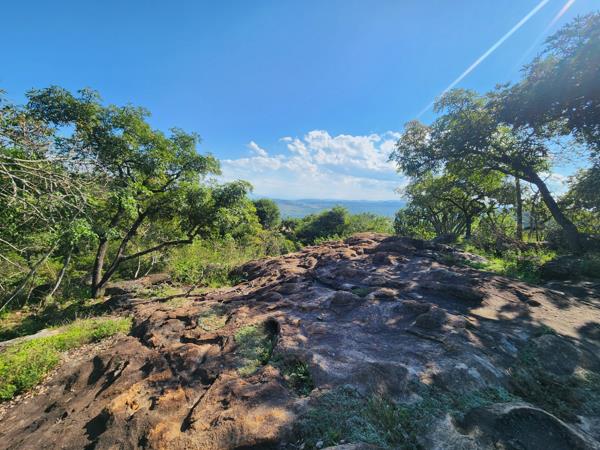 1.5 ha Land