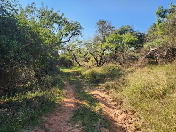 1.5 ha Land