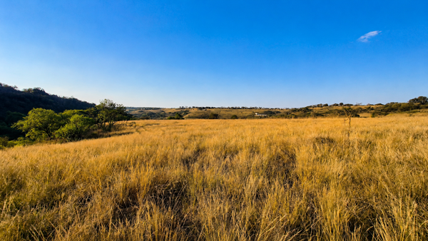 5 ha Land