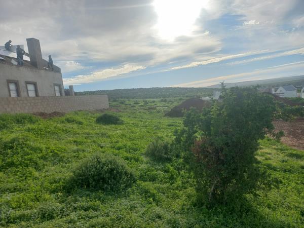 556 m² Land