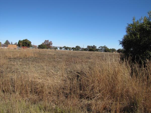 195 m² Land