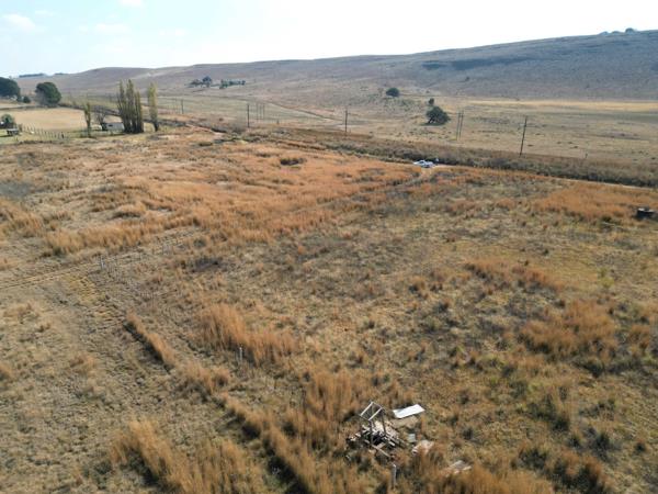 1 ha Land