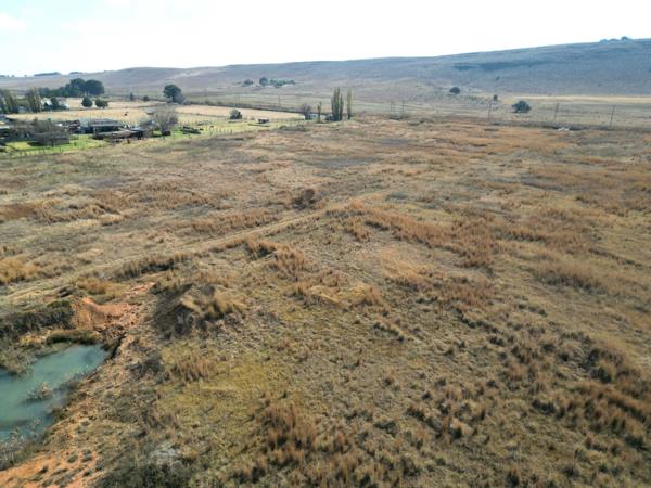 1 ha Land