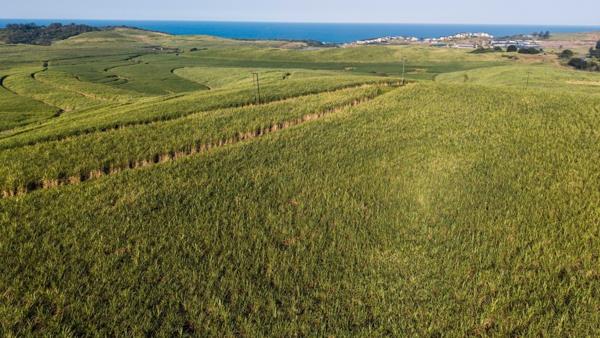 119 ha Farm