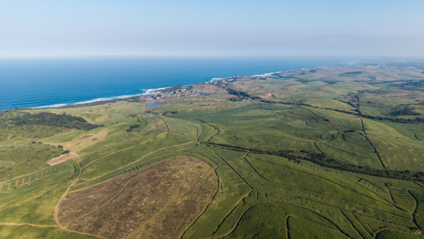 119 ha Farm