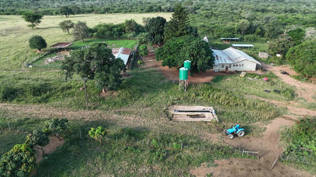 1 244 ha Farm