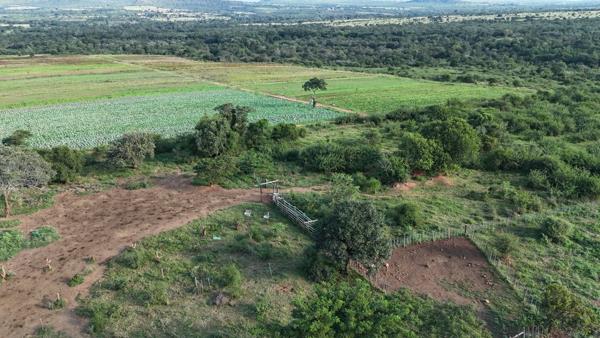 1 244 ha Farm