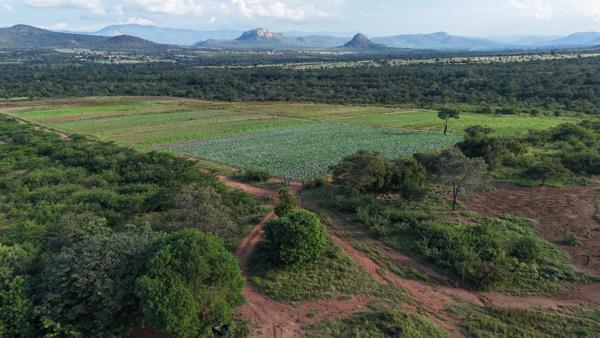 1 244 ha Farm
